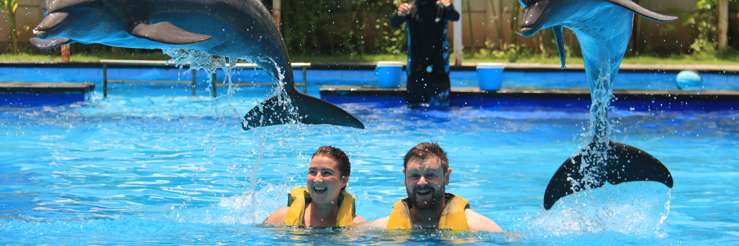 swim with dolphins bali
