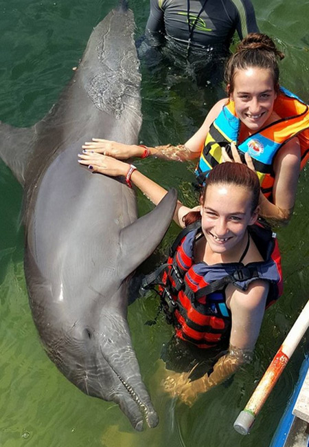 Bali Dolphins Photo Gallery