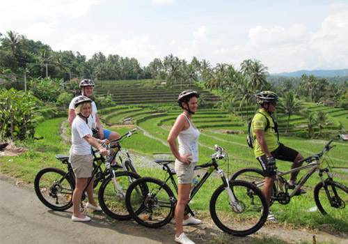 bali cycling