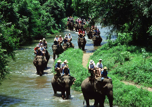 bali elephant ride