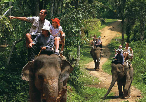 bali elephant safari ride