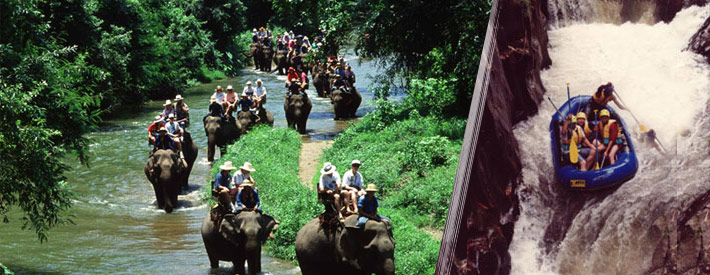 bali rafting and elephant ride